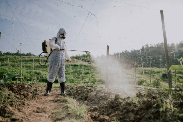 Best Pest Prevention Services  in Tracy, MN
