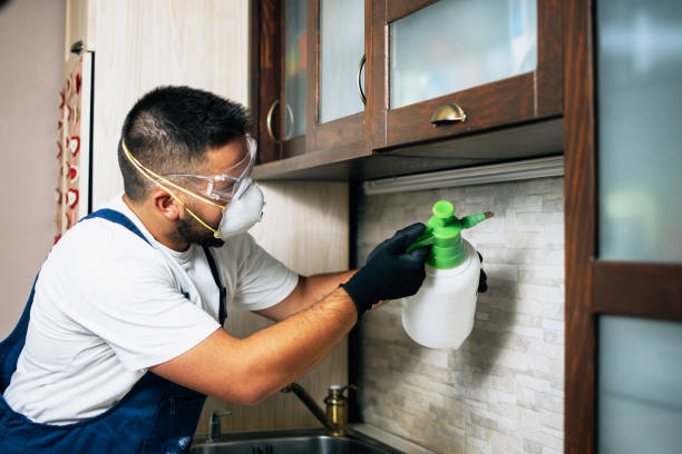 Best Best Pest Control Companies  in Tracy, MN