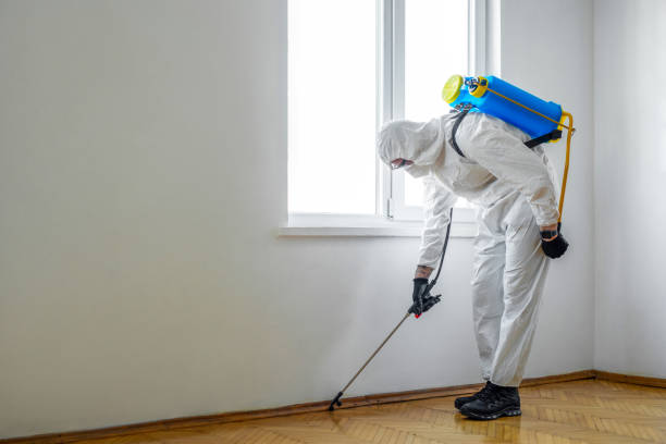 Best Flea Control Services  in Tracy, MN