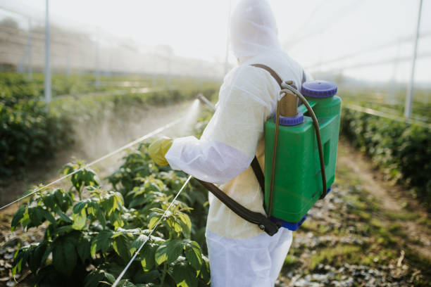 Tracy, MN Pest Control Company